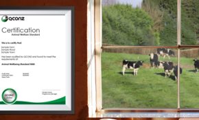 certificate_of_conformance